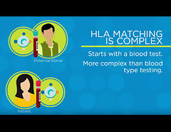 HLA-Matching-240x185px.jpg